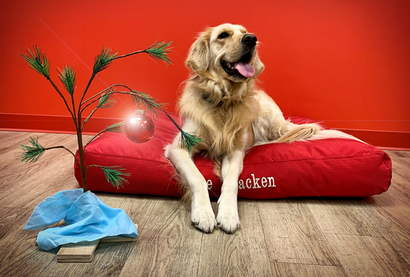 12_2021_Bash Happy Christmas from Bash